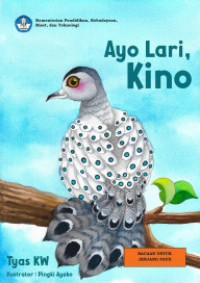 Image of Ayo Lari, Kino